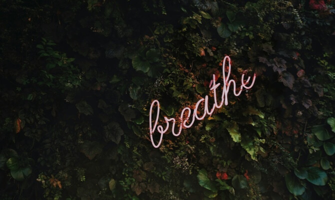 Breathe Neon Sign in a Hedge